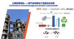 重大突破！中国农科院首次实现从一氧化碳到蛋白质的合成，并形成万吨级工业产能